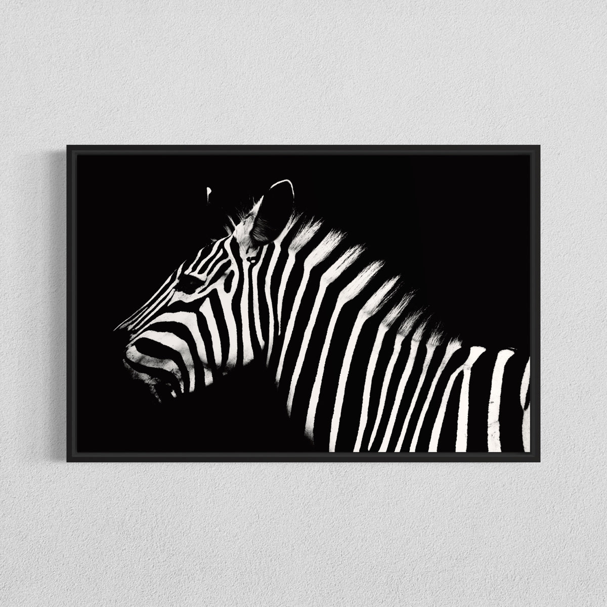 Zebra or Stripes?